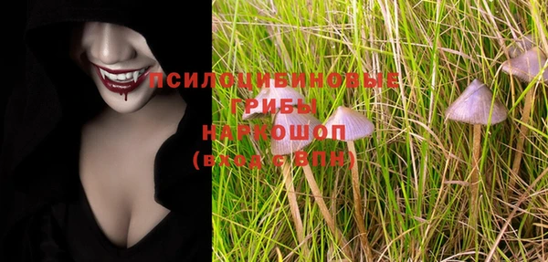 бутират Пересвет