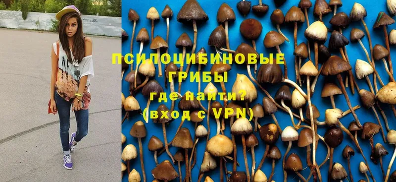 гидра зеркало  Усолье  Псилоцибиновые грибы Psilocybe  где купить наркоту 